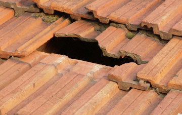 roof repair Plumbley, South Yorkshire