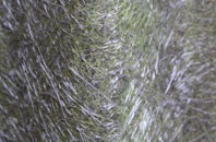 Plumbley fibreglass roof work